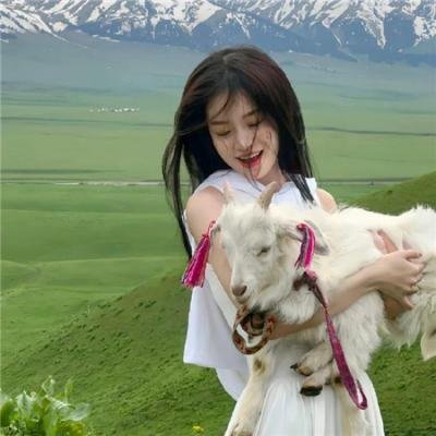 长笛与箭海报