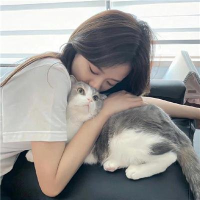 双生契海报